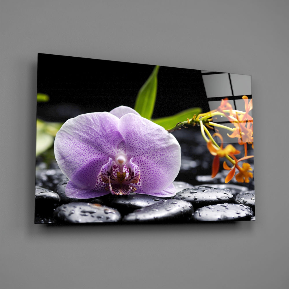 Orchid spa panel bringing wellness calm to a contemporary living space