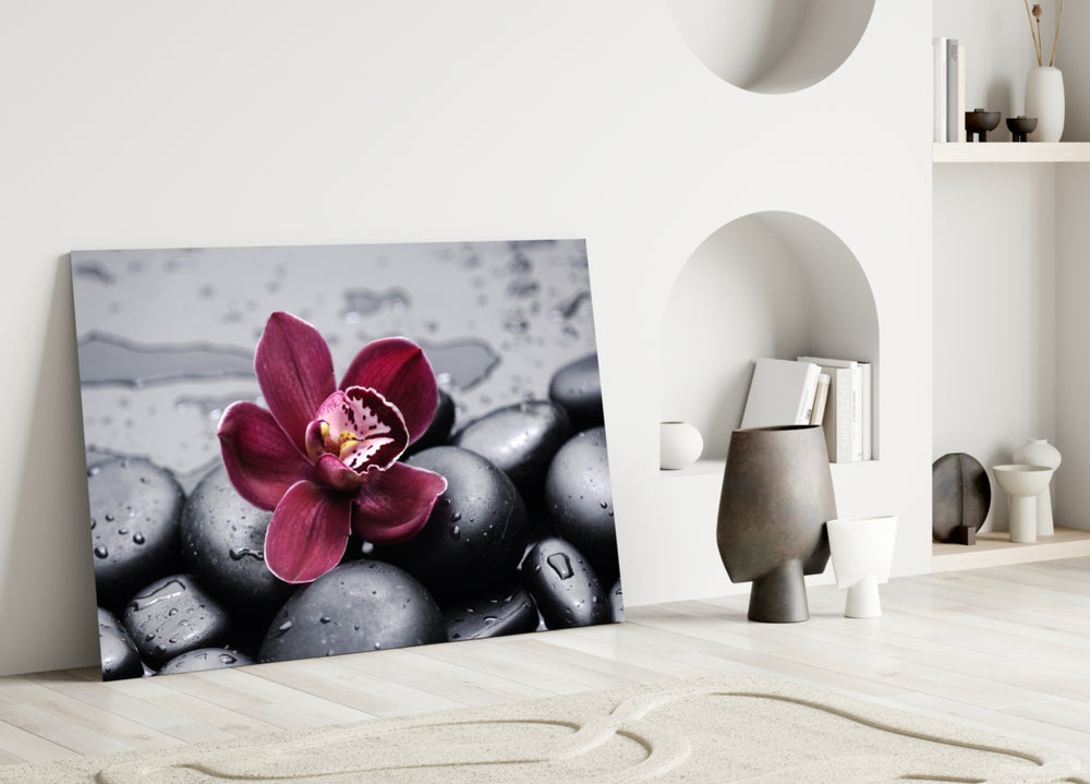 Close-up detail of the wine orchid on smooth black stones