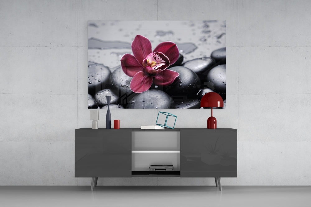 Spa panel catching soft light to reveal its velvet petals