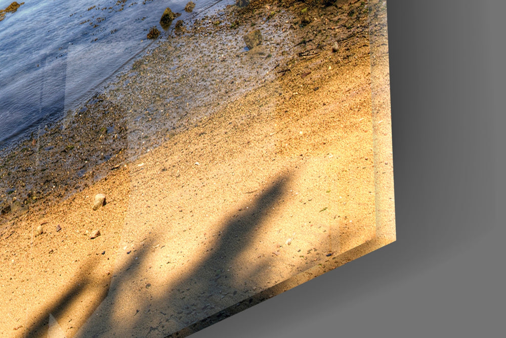 Shipwreck artwork anchoring a library with weathered palette