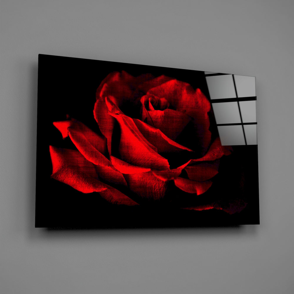 Crimson rose macro panel bringing romantic drama to a contemporary living space