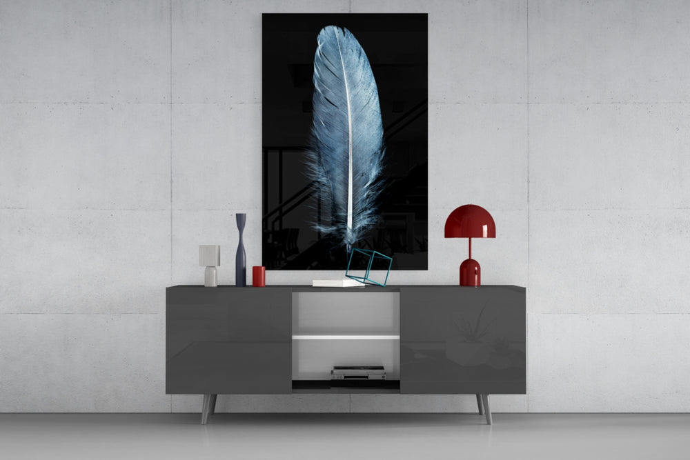 Blue Feather panel catching low light to reveal its downy base
