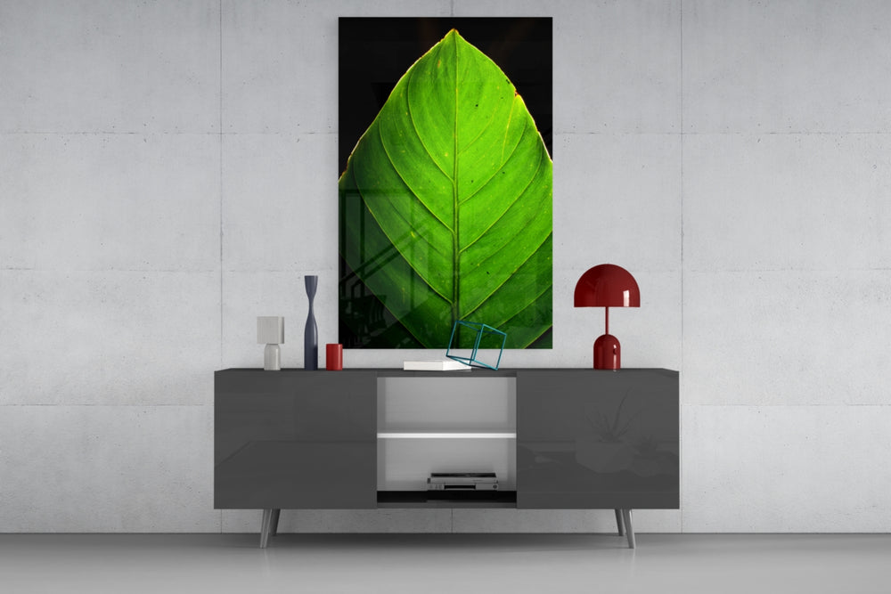 Green Leaf panel catching soft light to reveal its vein detail