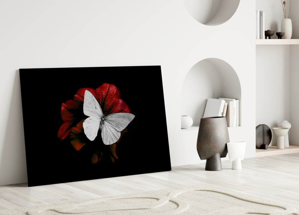 Close-up detail of the white butterfly wings on the red flower
