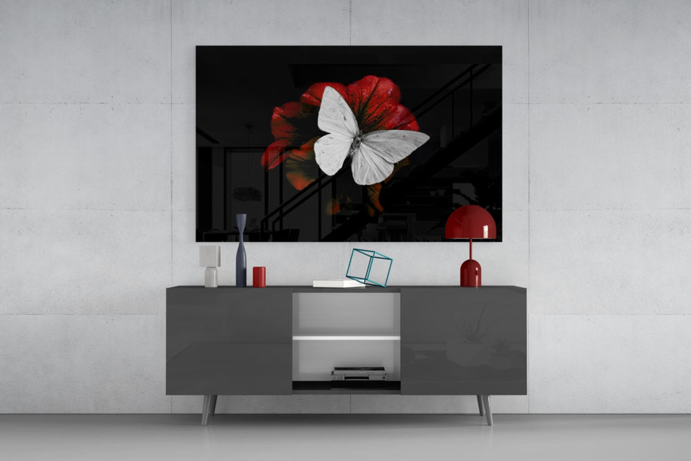 Butterfly panel catching soft light to reveal its translucent wings