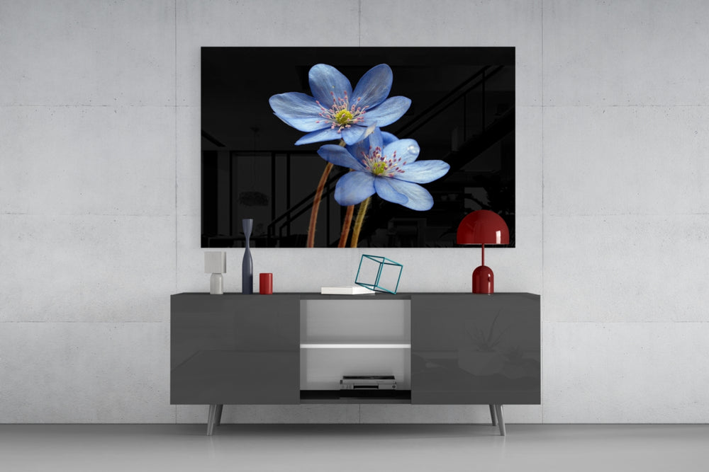 Blue Flower panel catching low light to reveal its delicate stamens