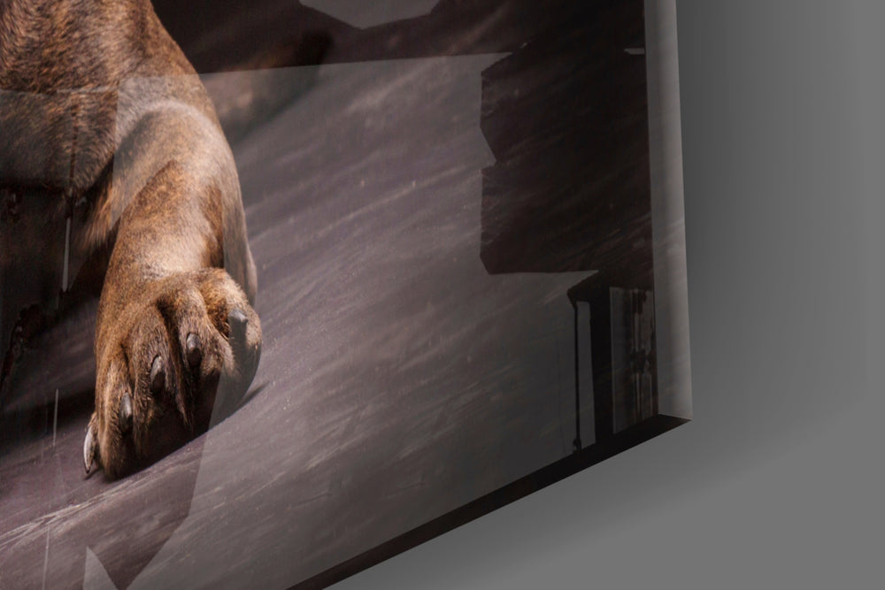 Dog artwork anchoring a library with companionable palette