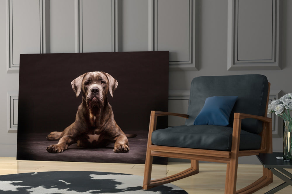 Dog glass print enhancing a hallway with steady gaze