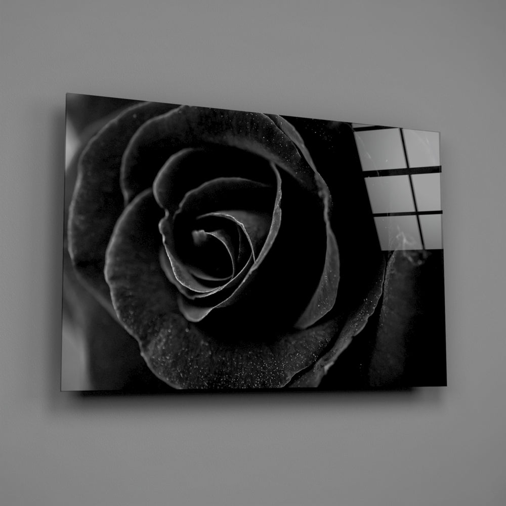 Black rose macro panel bringing gothic-luxe drama to a contemporary living space