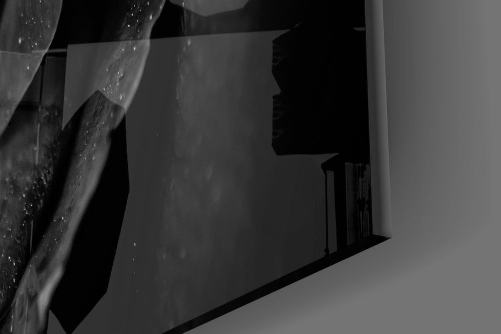Black Rose artwork anchoring a hallway with moody palette