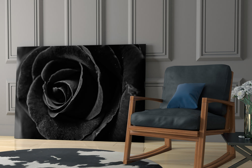 Black Rose glass print enhancing a lounge with statement shadow