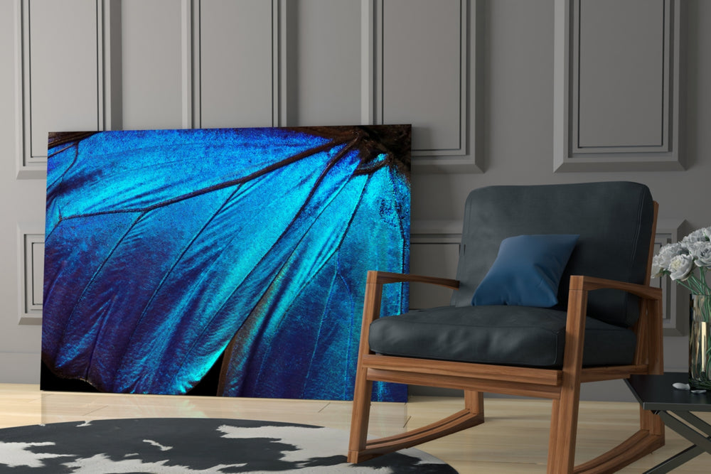 Butterfly Wing glass print enhancing a study with imaginative pulse