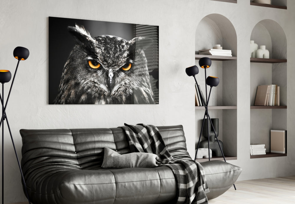 Owl panel catching low light to reveal its plumage detail