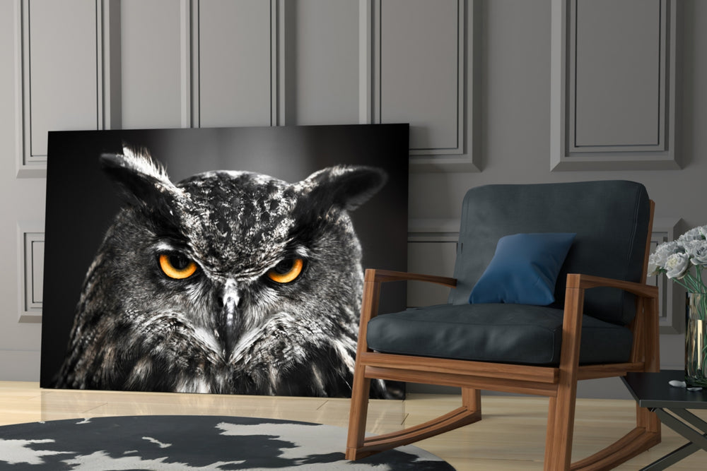 Owl glass print enhancing a library with nocturnal mood