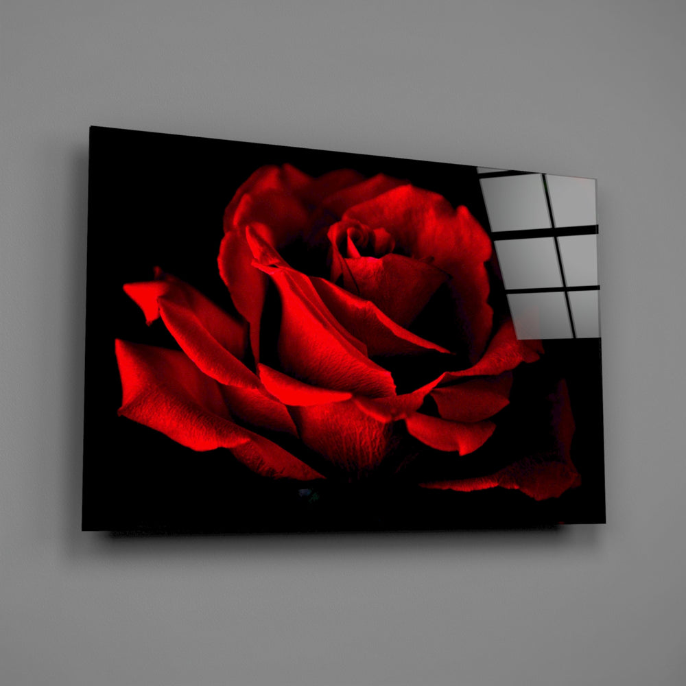 Crimson rose macro panel bringing romantic drama to a contemporary living space