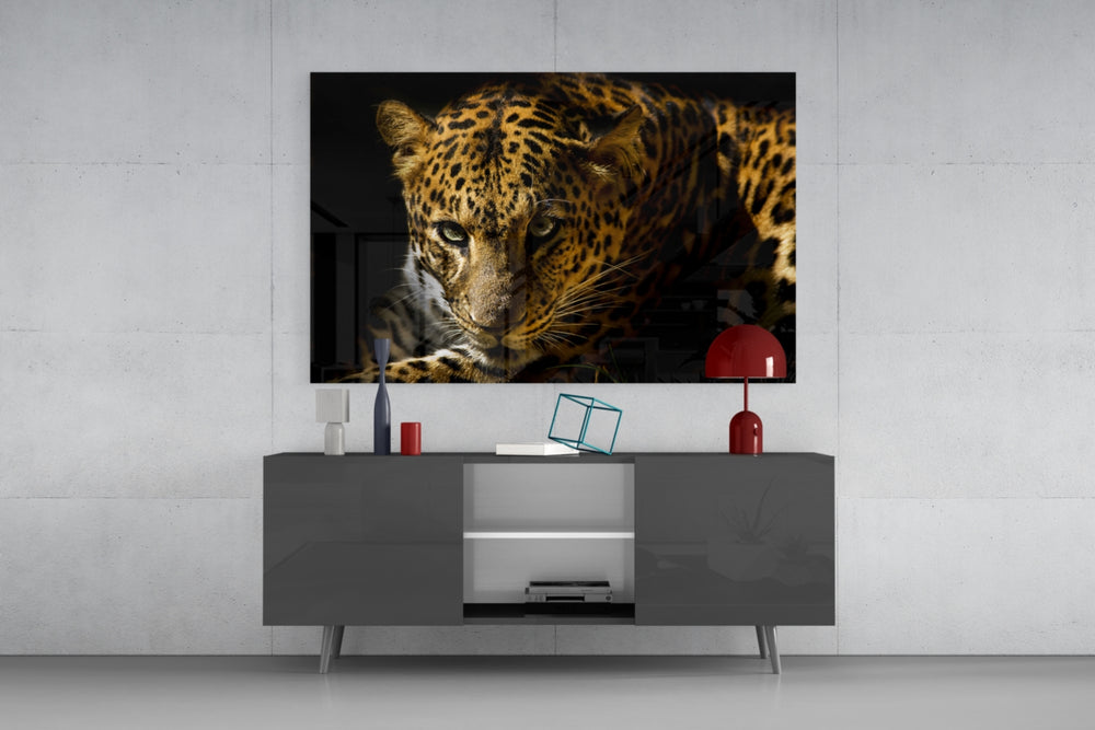 Leopar panel catching low light to reveal its rosette depth
