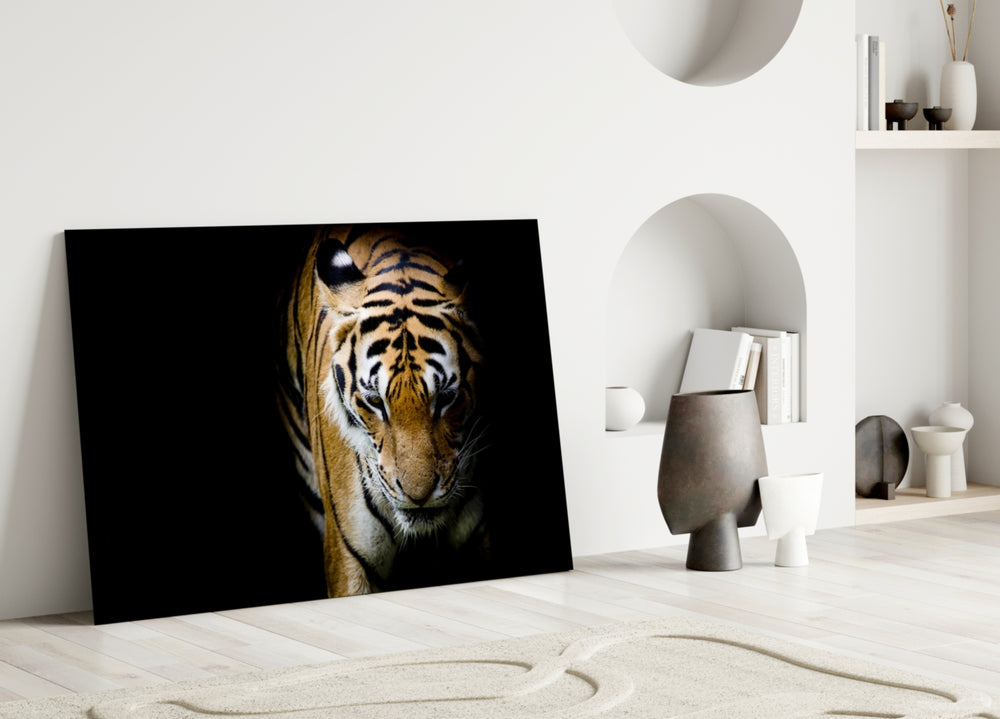 Close-up detail of the tiger's amber coat and black stripes