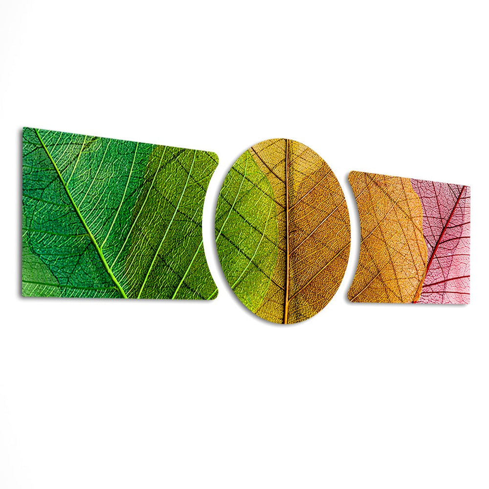 Macro close-up of leaf veins moving through a color gradient from green to gold to red across three glass panels. 3 piece glass wall art set D