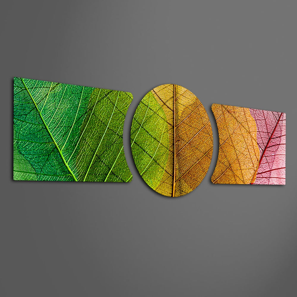 Macro close-up of leaf veins moving through a color gradient from green to gold to red across three glass panels. 3 piece glass wall art set E