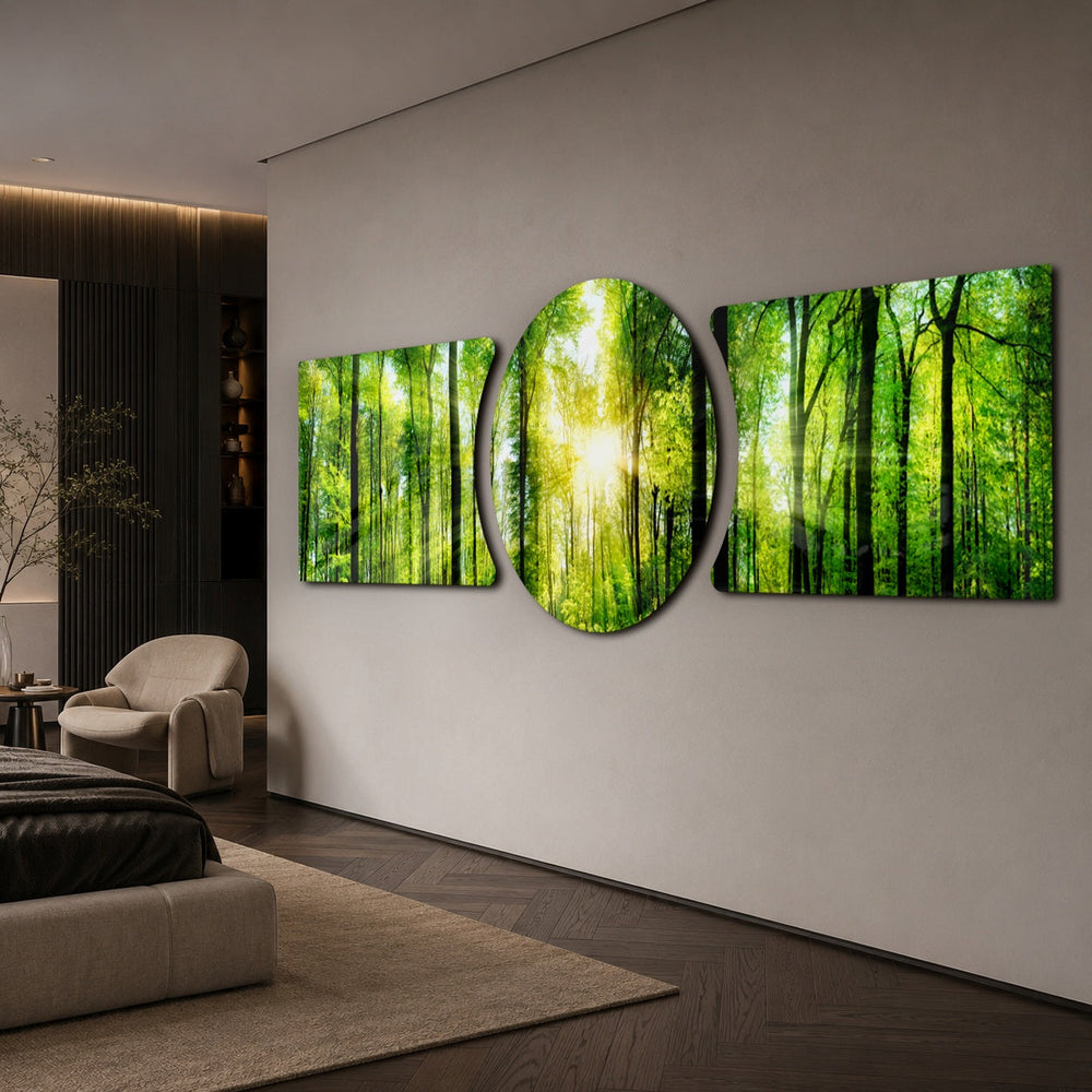 Sunbeams streaming through a fresh green forest canopy of tall slender trees. 3 piece glass wall art set C