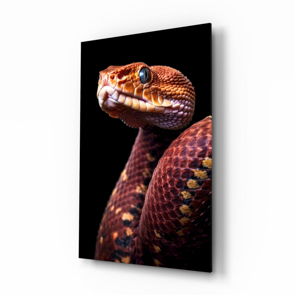 Red Stare Viper wildlife glass wall art in a modern study