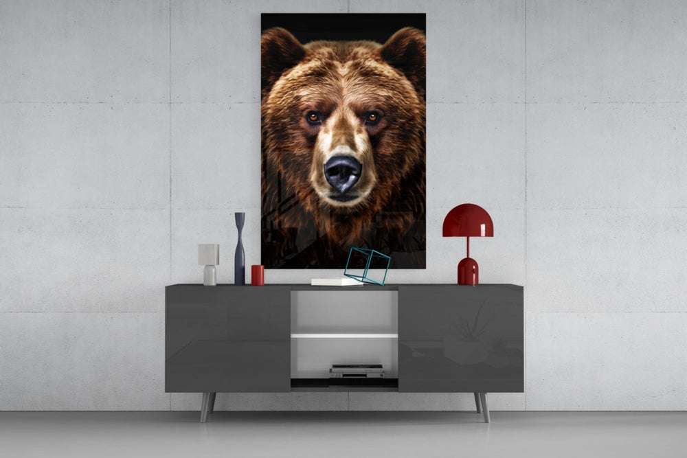 Bear Wise Man glass wall art catching light to reveal its fur detail