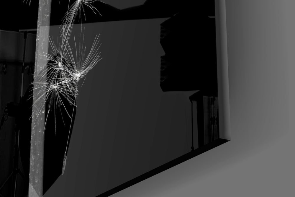 Macro dandelion seed-head cinematic glass wall art in wellness studio reception