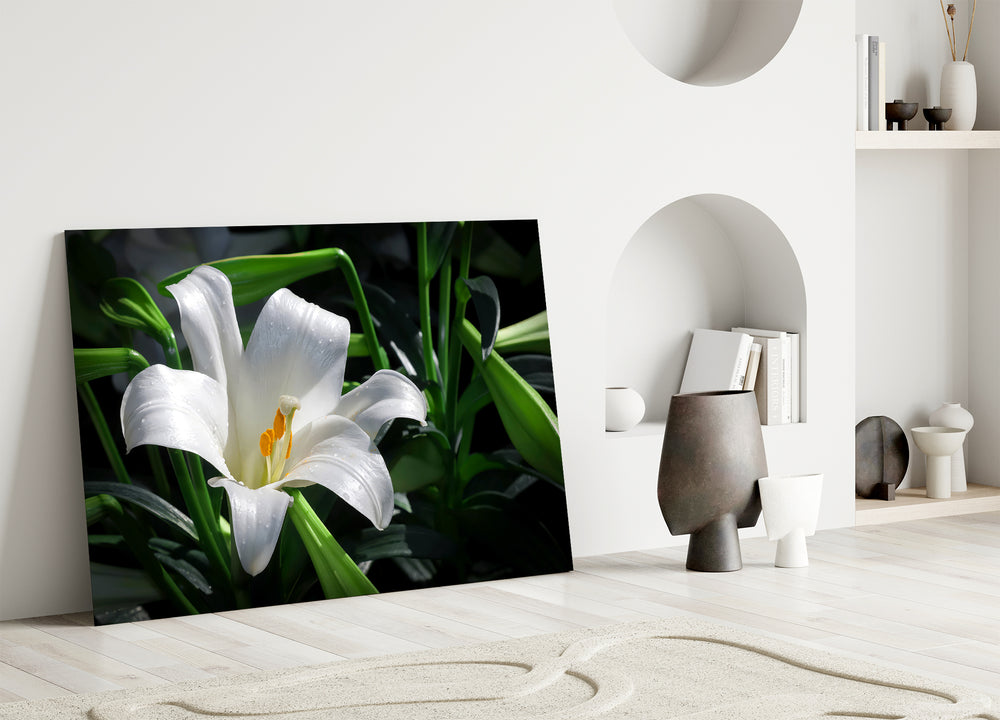 Mapplethorpe style cinematic glass wall art in heritage stairwell