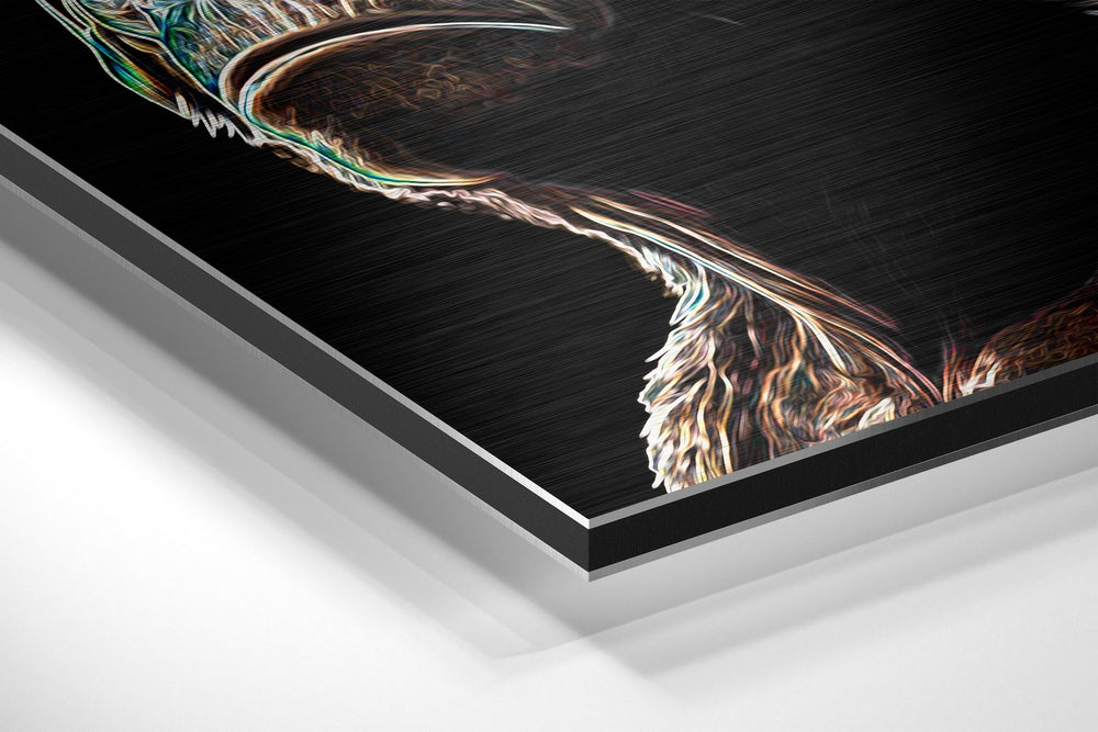 3 Wise Monkeys Brushed Aluminum Dibond Wall Art.