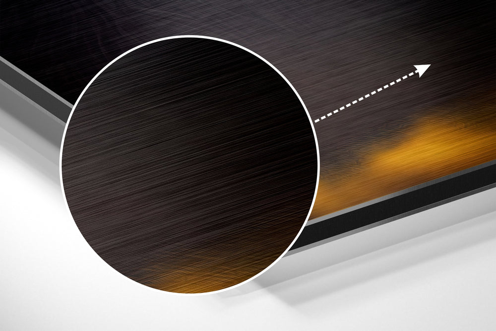 Wise Monkey Brushed Aluminum Dibond Wall Art.