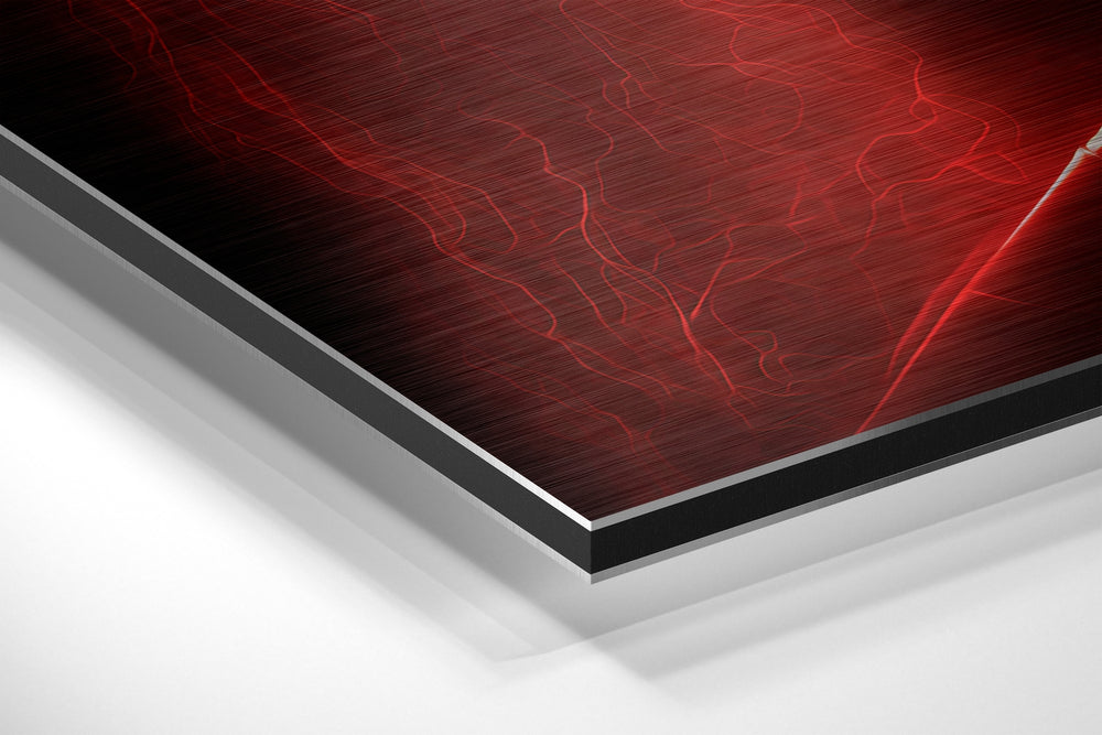 Revenge in His Eyes Brushed Aluminum Dibond Wall Art.