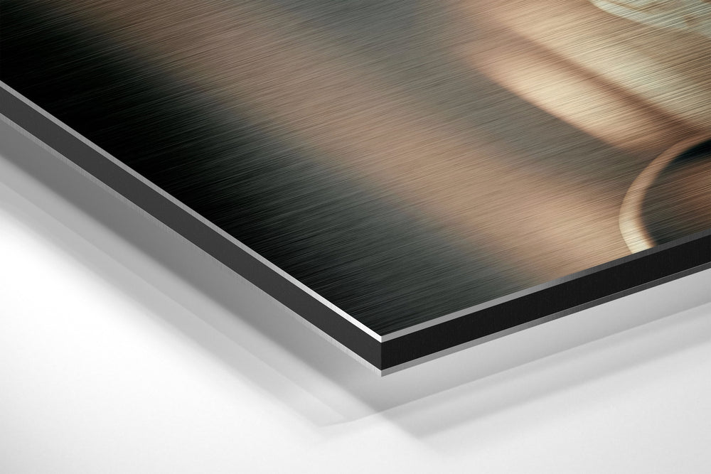 Silver Screen Blonde Brushed Aluminum Dibond Wall Art
