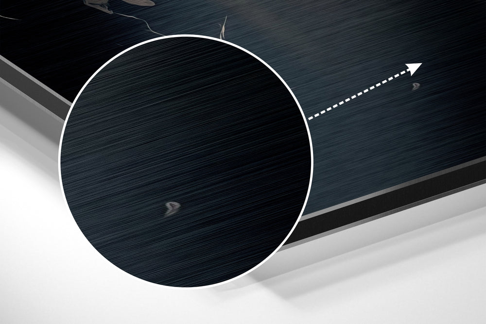 Elephant Brushed Aluminum Dibond Wall Art.