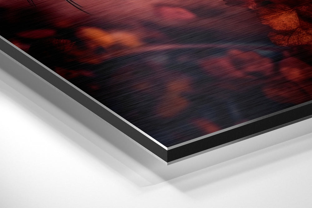 The Eye Brushed Aluminum Dibond Wall Art.