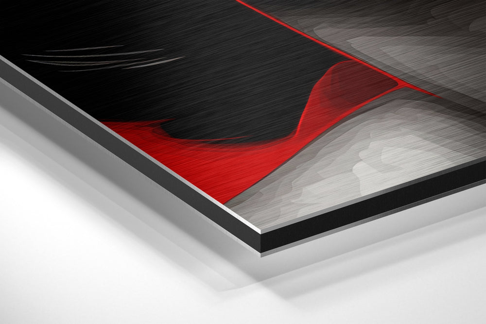 Cuban Brushed Aluminum Dibond Wall Art.