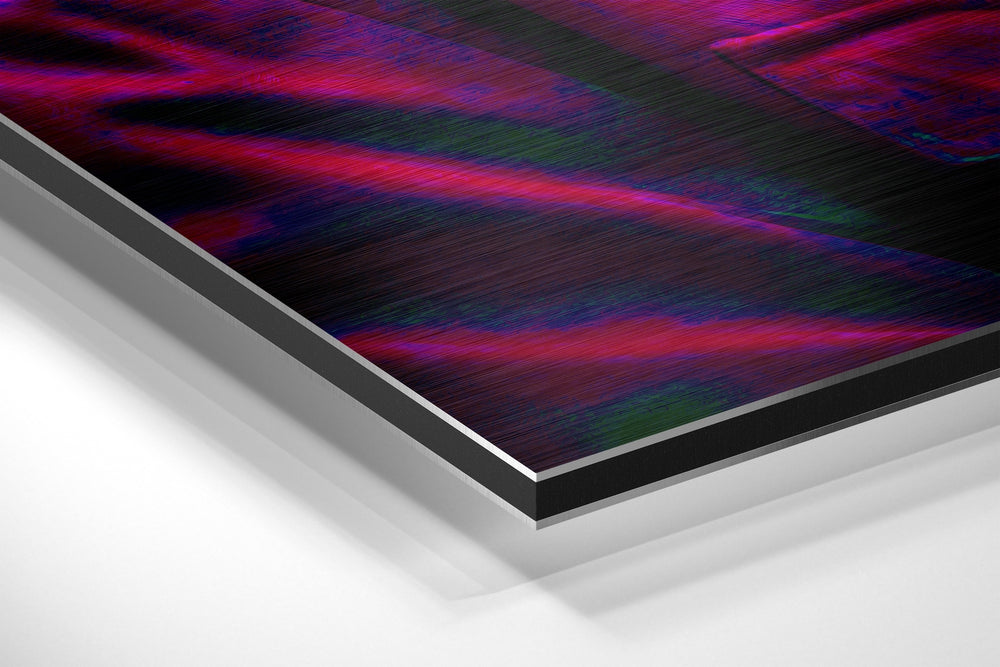 Cool Monkey Brushed Aluminum Dibond Wall Art.