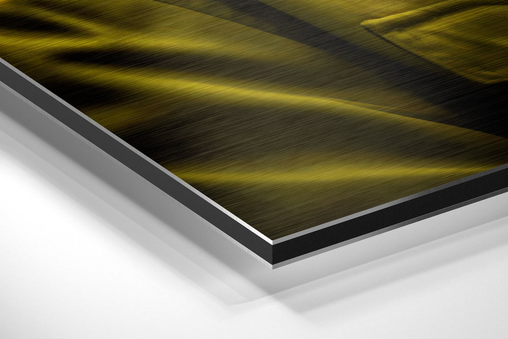 Cool Monkey Brushed Aluminum Dibond Wall Art.