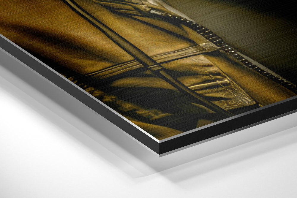 Age of Apes Brushed Aluminum Dibond Wall Art.