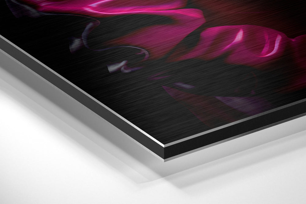Fashionate Rhino Brushed Aluminum Dibond Wall Art.