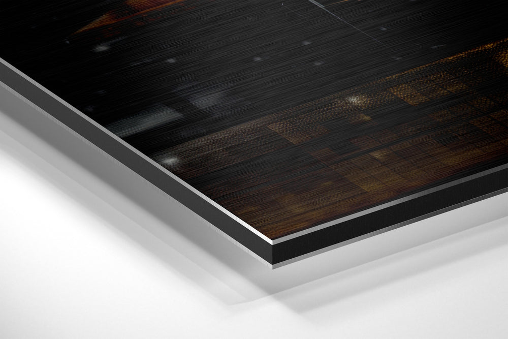 Wild-Haired Physicist Brushed Aluminum Dibond Wall Art