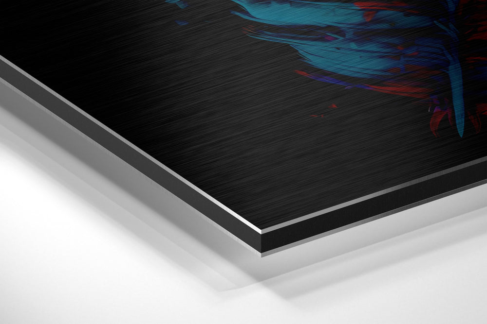 Feather Brushed Aluminum Dibond Wall Art.