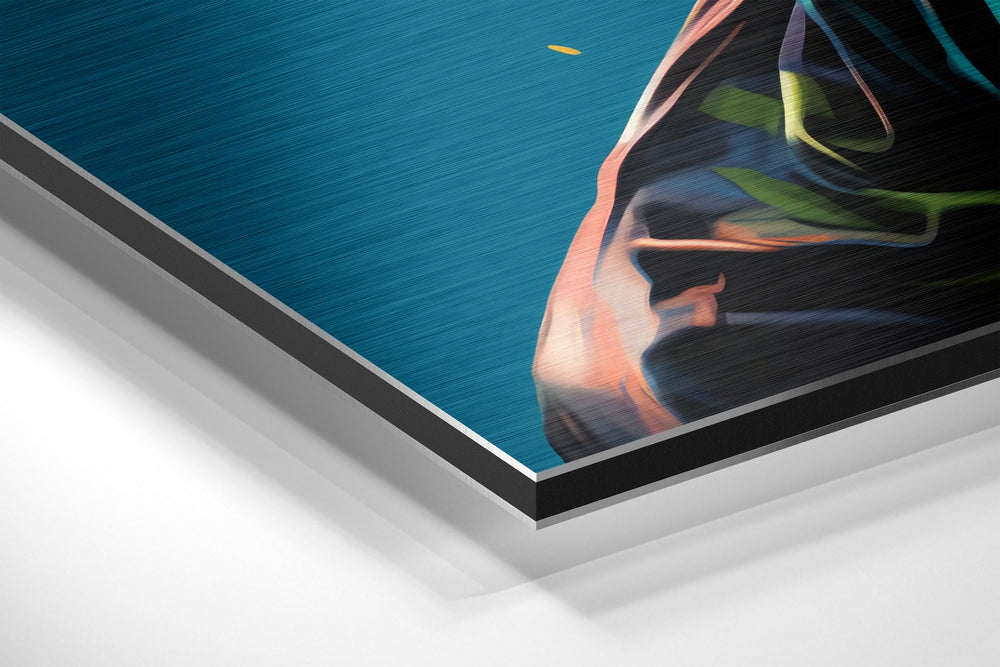 SheSpace Brushed Aluminum Dibond Wall Art.