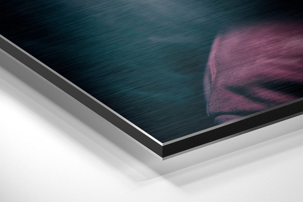 90s Hip-Hop Legend Brushed Aluminum Dibond Wall Art