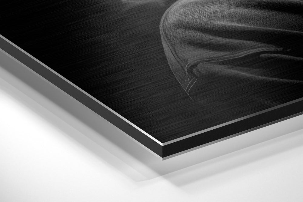 90s Hip-Hop Legend Brushed Aluminum Dibond Wall Art