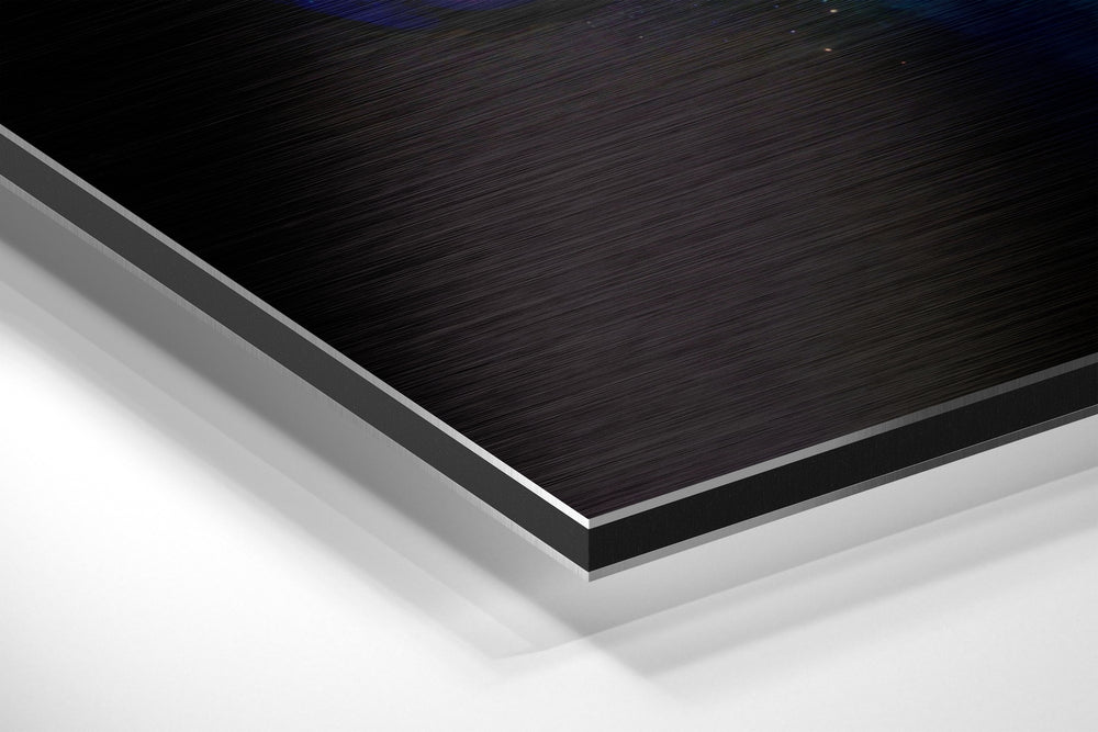 Zebra Brushed Aluminum Dibond Wall Art.