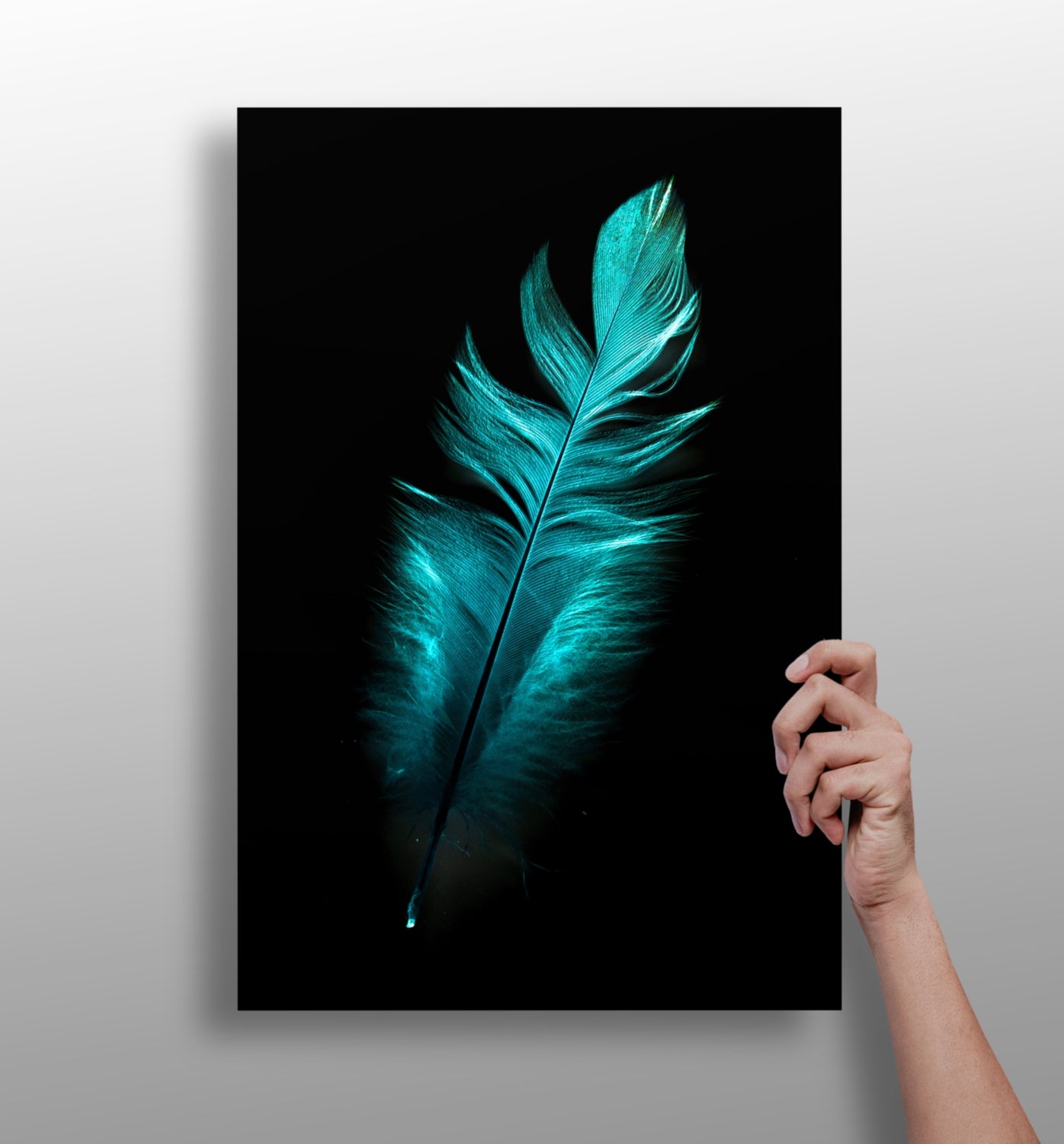 Teal Feather Aluminum Print.