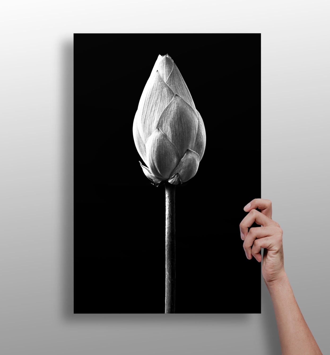 Flower Aluminum Print.