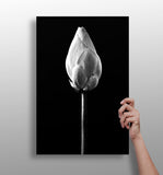 Flower Aluminum Print.
