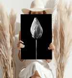 Flower Aluminum Print.