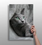Cat Aluminum Print.